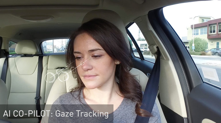 Nvidia Gaze Tracking