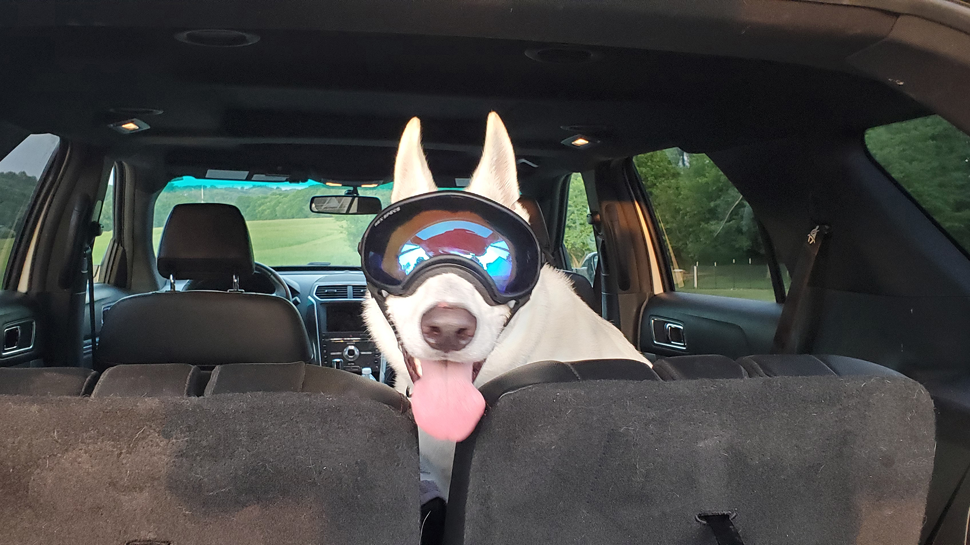 Kya Ready for a Ride!