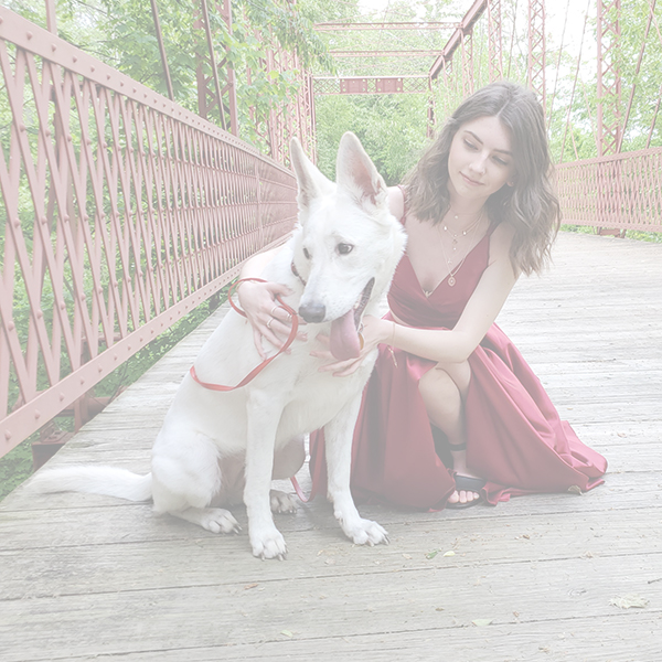 Pet Insurance