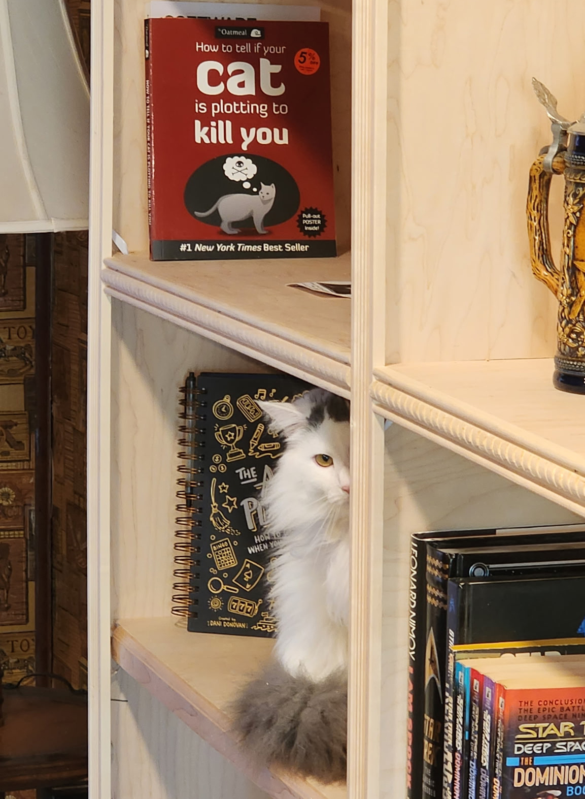 Pet Insurance